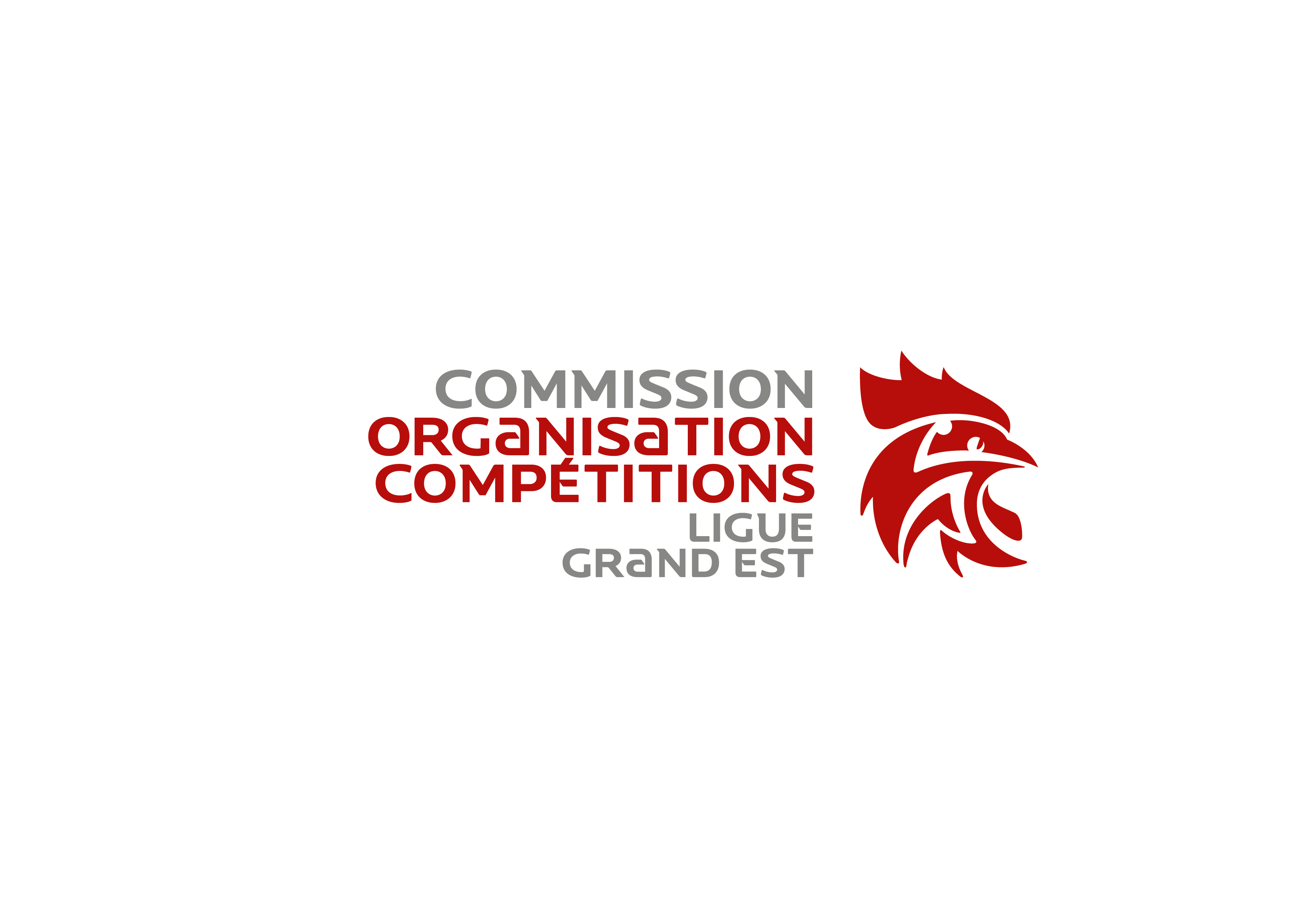 Commission D Organisation Des Comp titions Ligue Grand Est De Handball commission-d-organisation-des-comp-titions-ligue-grand-est-de-handball
