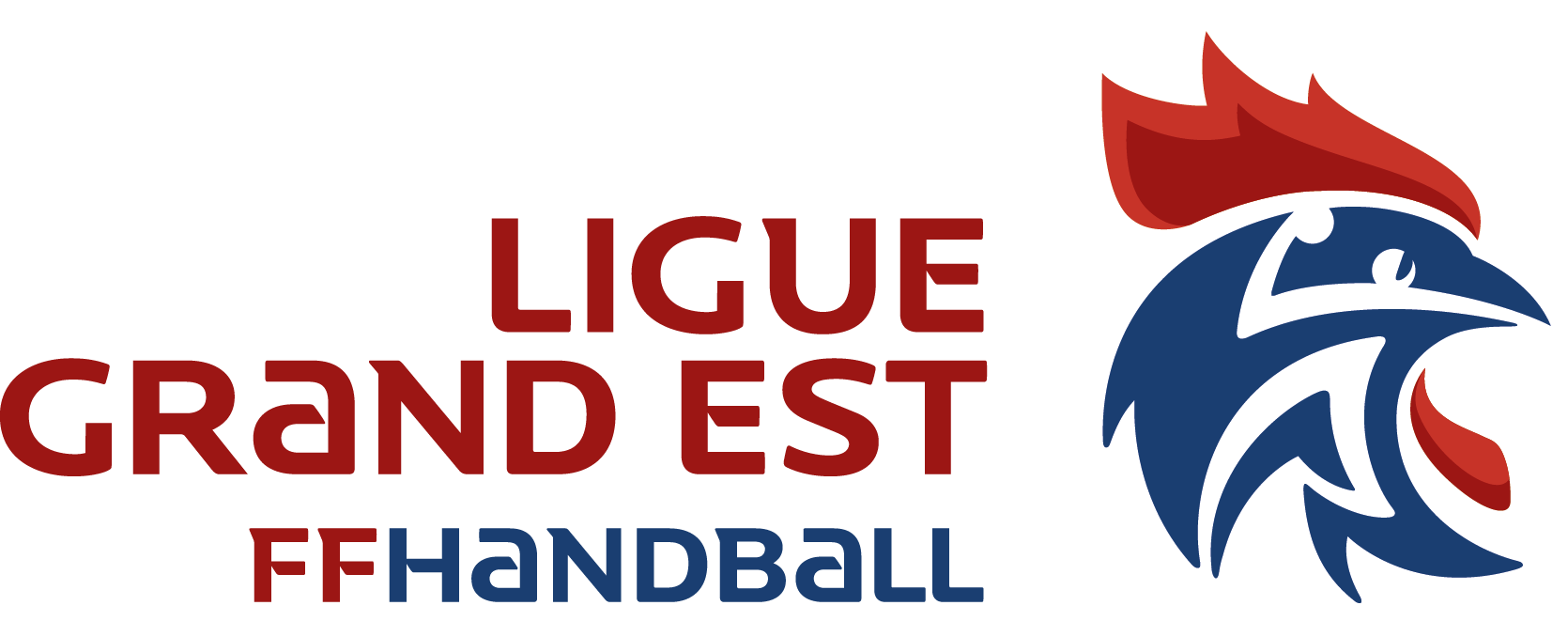 Les compétitions 2024 2025 Ligue Grand Est de Handball