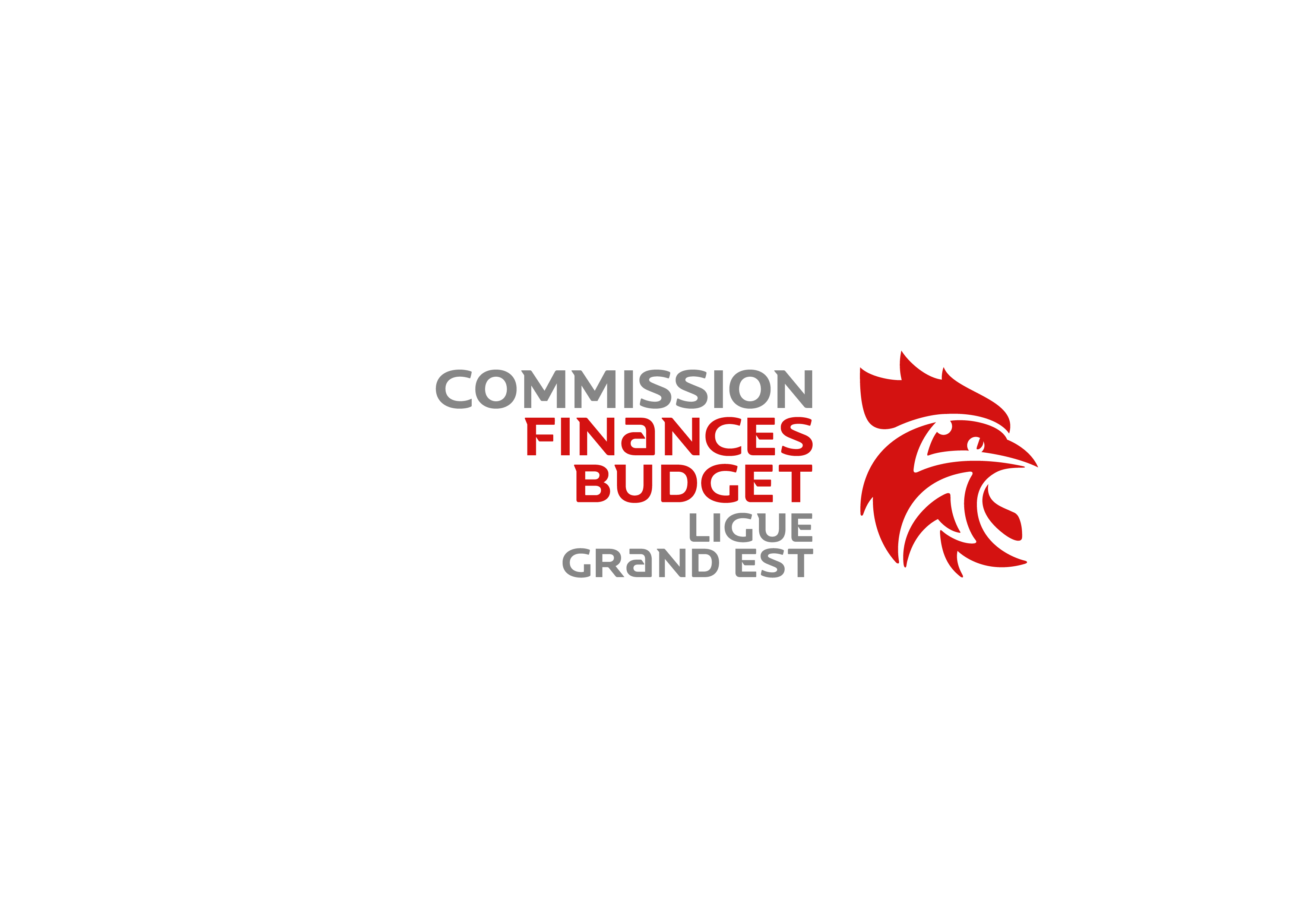 FFHB_LOGO_LIGUE_GRA-EST_COM-FIN-BUDG_FD_BL_RVB-01